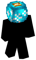 Skinfile
