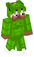 Skinfile