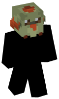 Skinfile