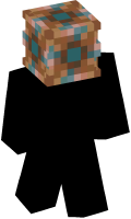 Skinfile
