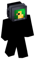 Skinfile