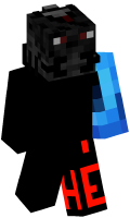 Skinfile