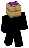 Skinfile