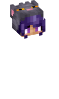 Skinfile