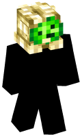 Skinfile