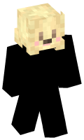 Skinfile