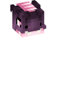 Skinfile