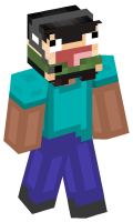 Skinfile