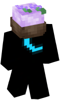 Skinfile