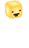 Skinfile