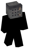 Skinfile