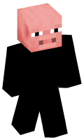Skinfile