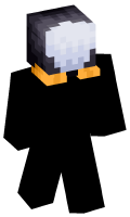 Skinfile