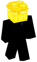 Skinfile
