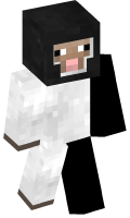 Skinfile