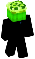 Skinfile