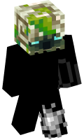 Skinfile