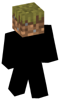 Skinfile
