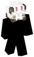 Skinfile