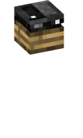 Skinfile