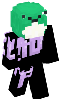 Skinfile