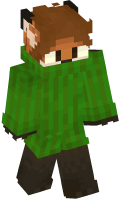 Skinfile