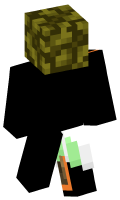 Skinfile