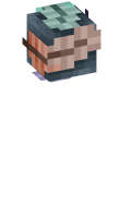 Skinfile