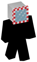 Skinfile