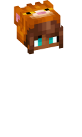 Skinfile