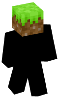 Skinfile
