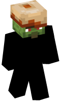 Skinfile