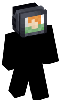Skinfile