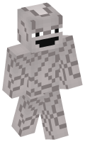 Skinfile