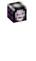 Skinfile