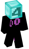 Skinfile