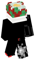 Skinfile