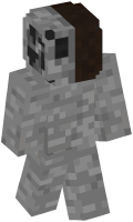 Skinfile