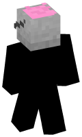 Skinfile
