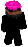 Skinfile