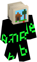 Skinfile