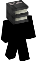 Skinfile