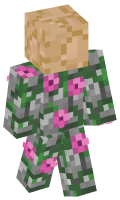 Skinfile