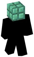 Skinfile