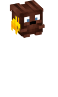 Skinfile