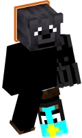 Skinfile