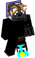 Skinfile