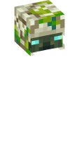 Skinfile