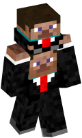 Skinfile