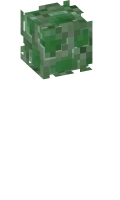 Skinfile